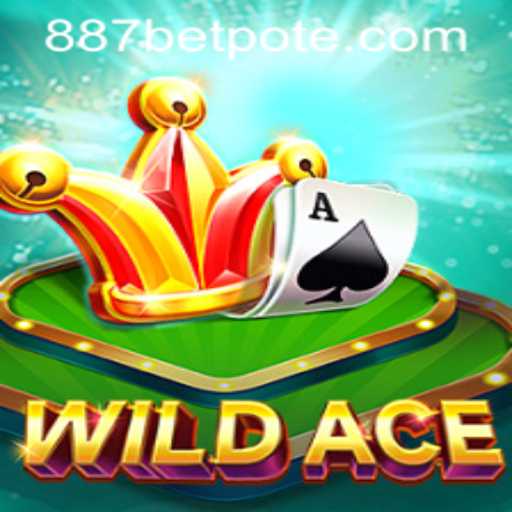 Discover the Thrills of WildAce: A Complete Guide